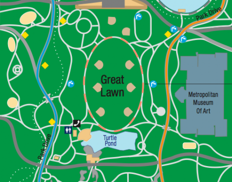 Great Lawn (via centralpark.com)